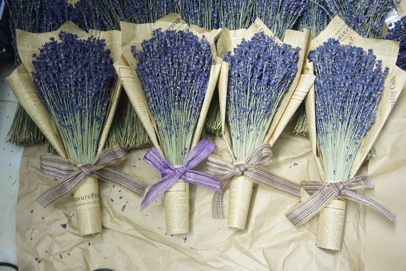 Cách cắm hoa hương lavender