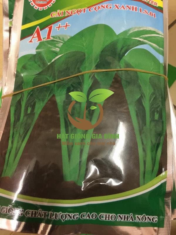 Hạt giống rau cải ngọt cọng xanh 1 Hạt giống rau cải ngọt cọng xanh