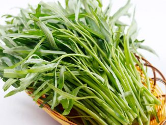 Mùa vụ trồng rau muống miền bắc 10 rau 10 min