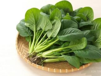 Cây rau chân vịt 7 cay rau chan vit 6 min